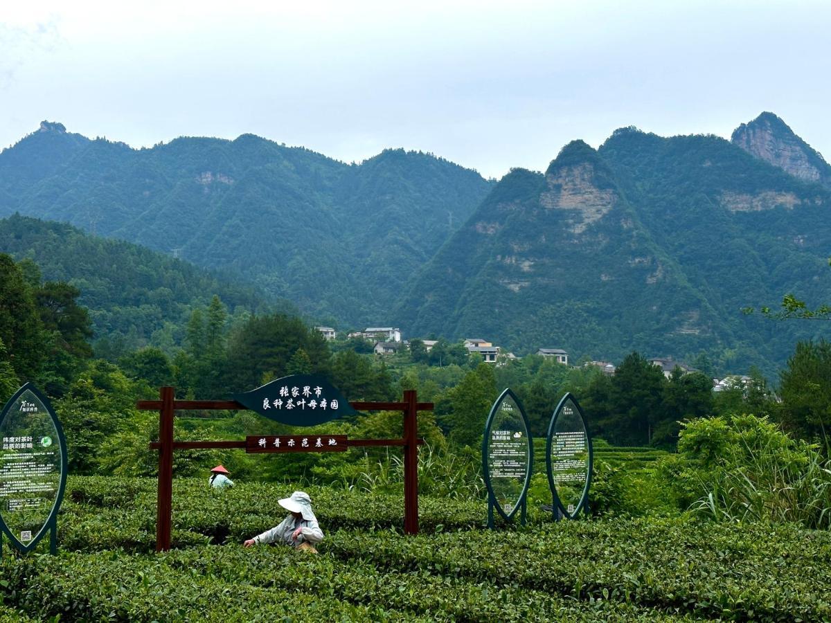 Zhangjiajie National Park Nvue Resorts מראה חיצוני תמונה